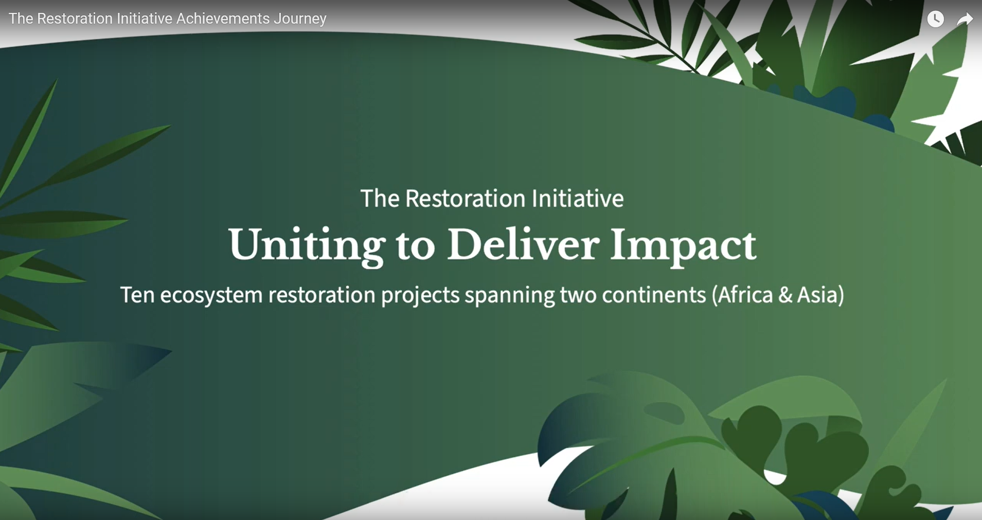 The Restoration Initiative Achievements Journey