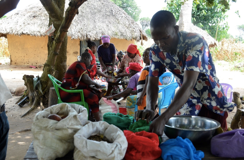 Restoration and Green Value Chain Development Increase Communities’ Resilience to Drought in Kenya’s Tana River Delta Region.
