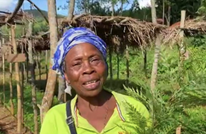Rural Women Lead the Change and Address Answers to Economic and Social Questions of their Communities through the Restoration Activities of TRI in DRC