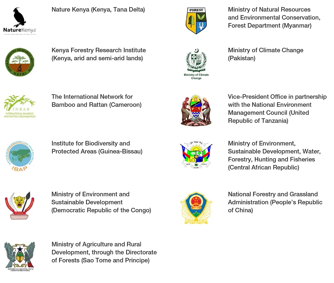 Government and executing partners