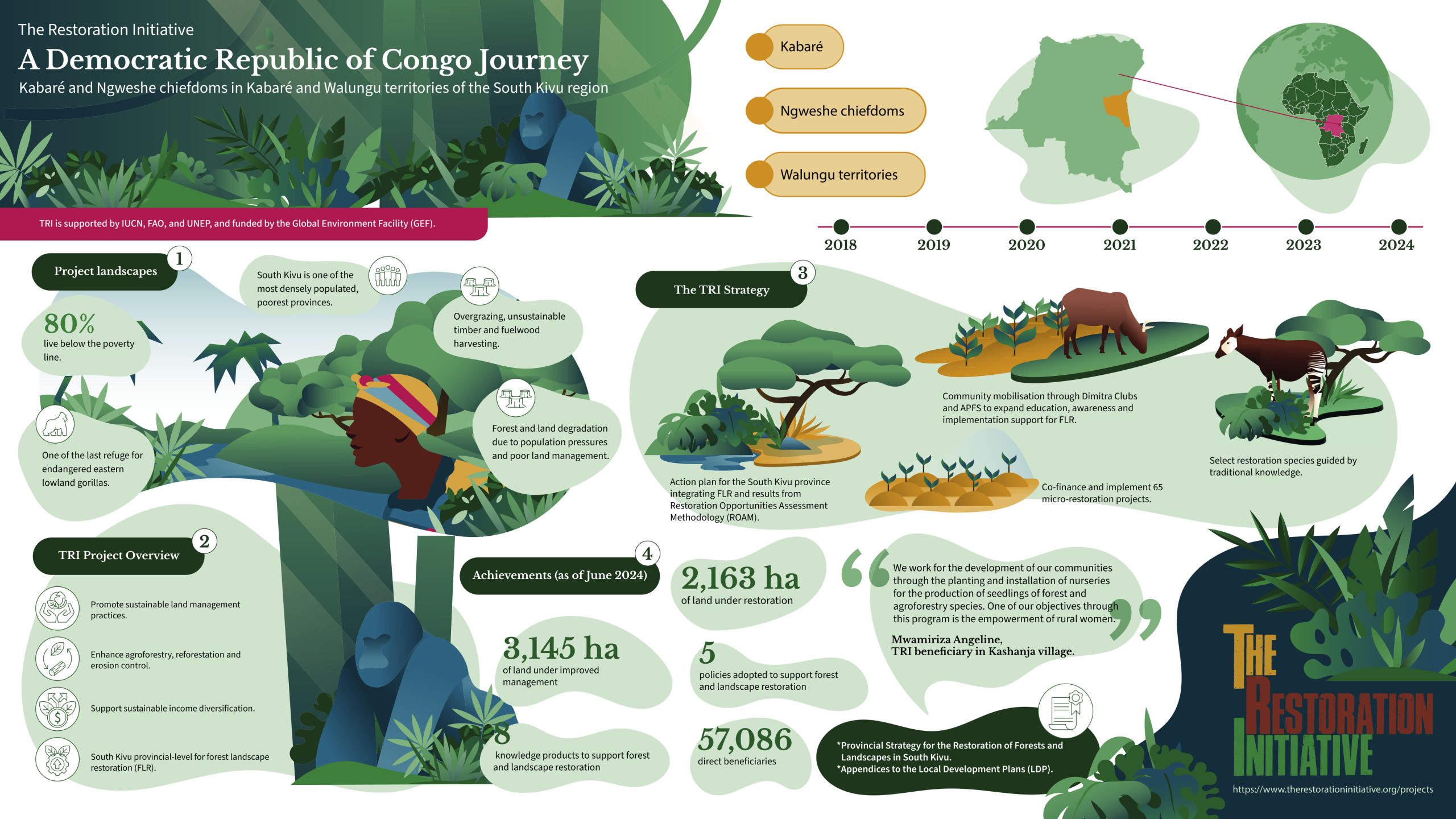 Project infographic
